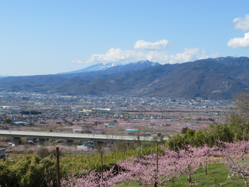 山梨移住