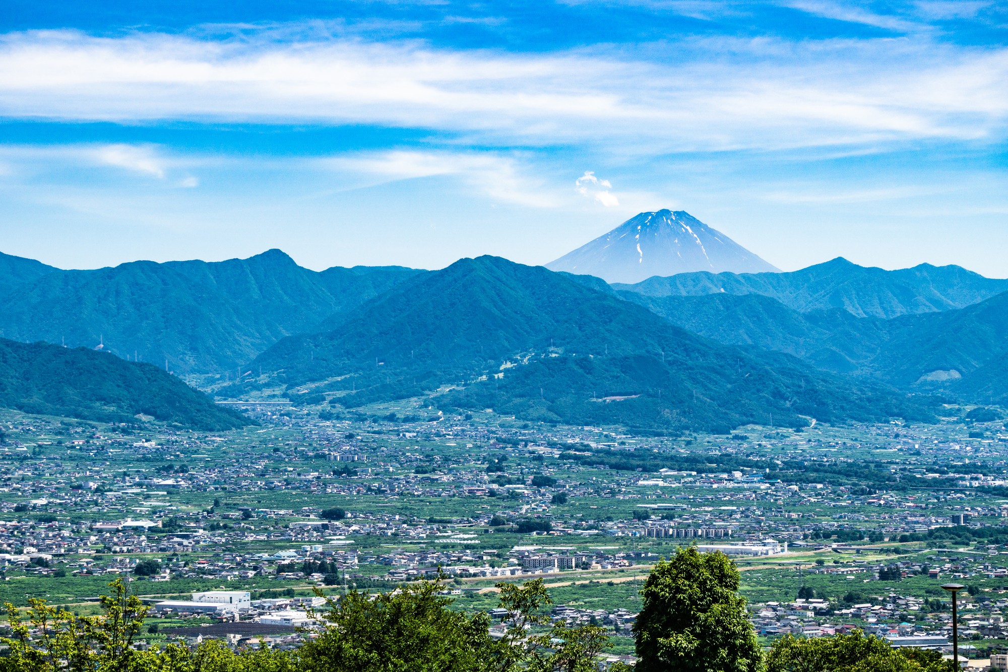 甲府市の土地と建物の坪単価相場