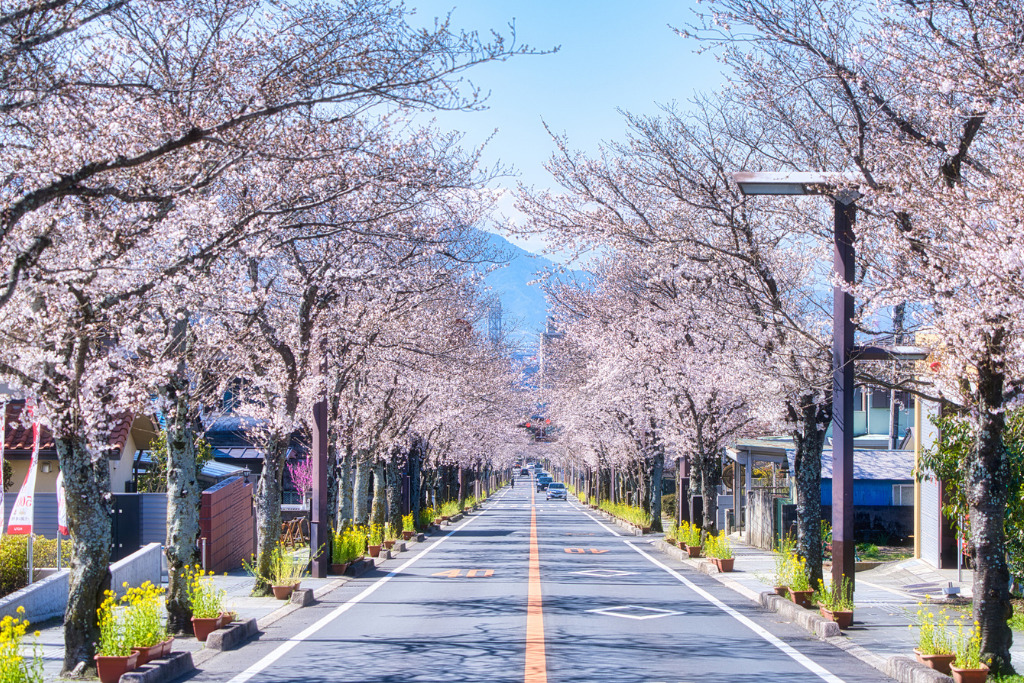 甲府市の暮らしやすさ｜山梨｜入沢工務店